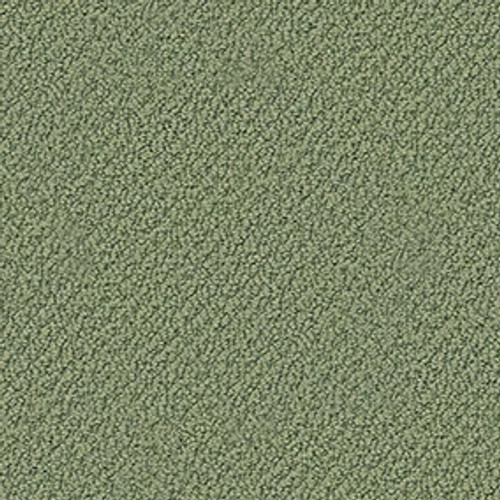 TRULY RELAXED LOOP - Bay Laurel 00351
