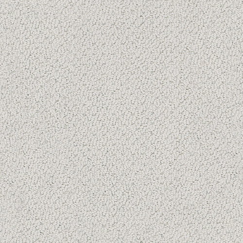 SMART THINKING - Silver Charm 00560