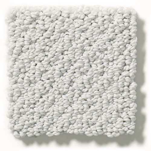 SMART THINKING - Silver Charm 00560