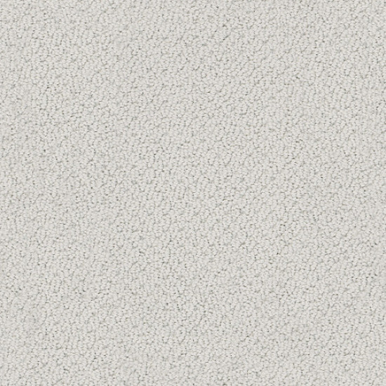 SMART THINKING - Silver Charm 00560 SMART THINKING - Silver Charm 00560