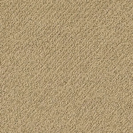 SMART THINKING - Grounded 00796 SMART THINKING - Grounded 00796