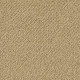 SMART THINKING - Grounded 00796 SMART THINKING - Grounded 00796