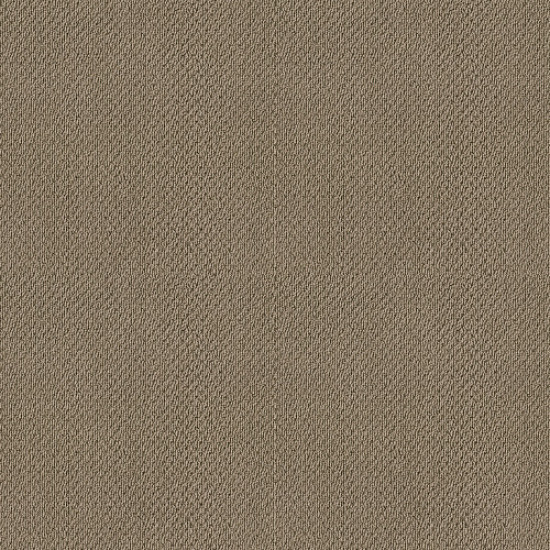 SMART THINKING - Grounded 00796 SMART THINKING - Grounded 00796