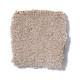 SANDY HOLLOW CLASSIC II 12 - Stucco 00110