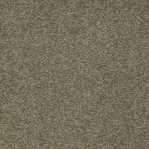 SANDY HOLLOW CLASSIC II 12 - Alpine Fern 00305