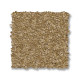 SANDY HOLLOW CLASSIC II 12 - Muffin 00700 SANDY HOLLOW CLASSIC II 12 - Muffin 00700