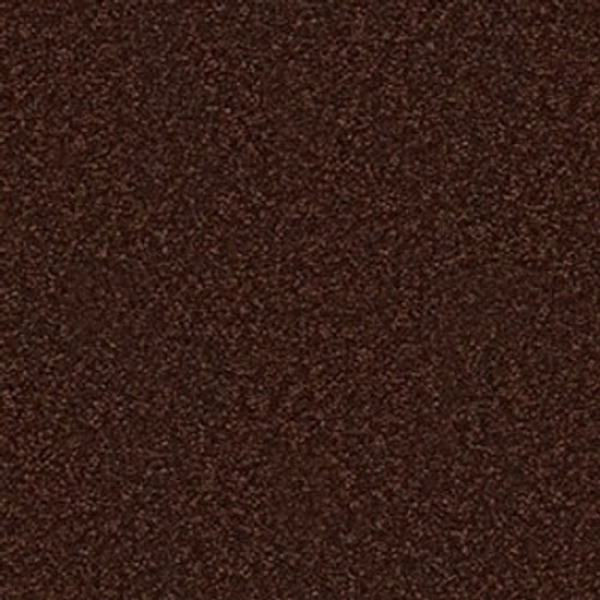 SANDY HOLLOW CLASSIC II 12 - Coffee Bean 00711 SANDY HOLLOW CLASSIC II 12 - Coffee Bean 00711