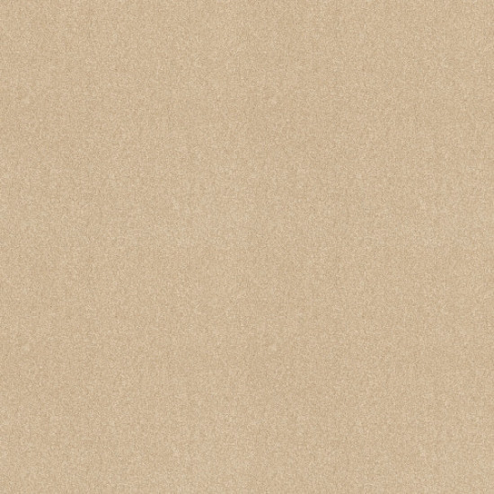 SANDY HOLLOW CLASSIC III 12' - Almond Flake 00200 SANDY HOLLOW CLASSIC III 12' - Almond Flake 00200