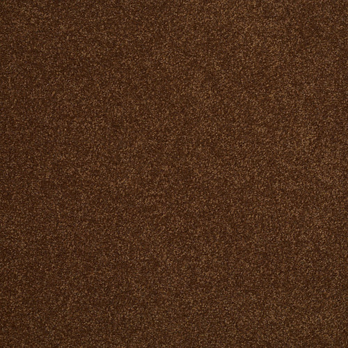 SANDY HOLLOW III 12' - Tortoise Shell 00707