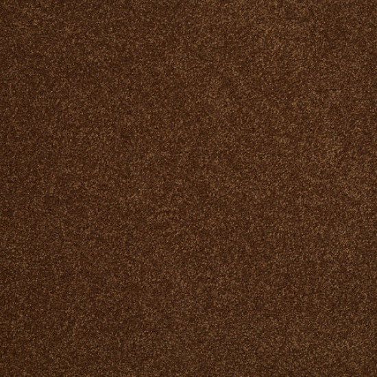 SANDY HOLLOW III 12' - Tortoise Shell 00707 SANDY HOLLOW III 12' - Tortoise Shell 00707