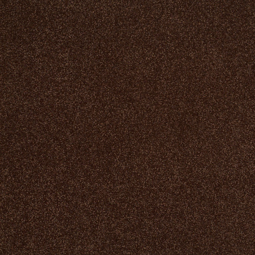 SANDY HOLLOW III 12' - Coffee Bean 00711
