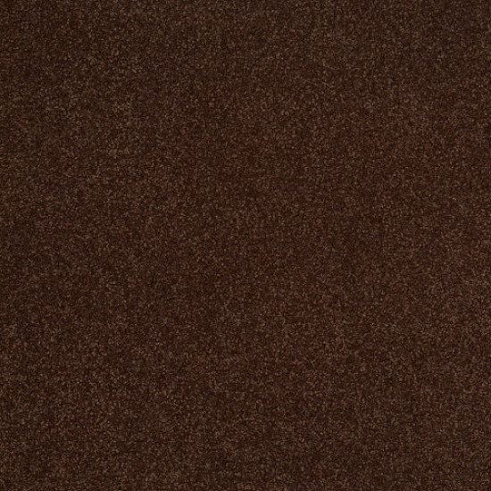 SANDY HOLLOW III 12' - Coffee Bean 00711 SANDY HOLLOW III 12' - Coffee Bean 00711