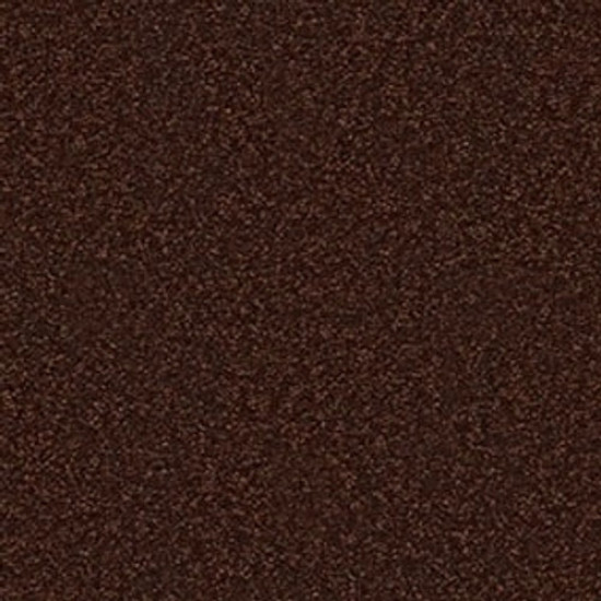 SANDY HOLLOW III 12' - Coffee Bean 00711 SANDY HOLLOW III 12' - Coffee Bean 00711