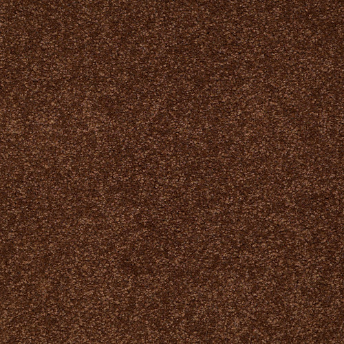 SANDY HOLLOW CLASSIC I 15 - Tortoise Shell 00707