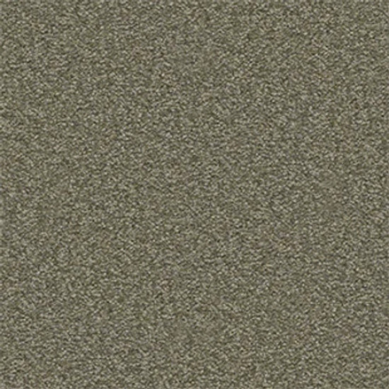 SANDY HOLLOW CLASSIC II 15' - Alpine Fern 00305 SANDY HOLLOW CLASSIC II 15' - Alpine Fern 00305