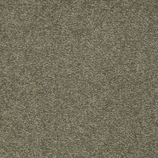 SANDY HOLLOW CLASSIC II 15' - Alpine Fern 00305 SANDY HOLLOW CLASSIC II 15' - Alpine Fern 00305