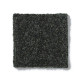 SANDY HOLLOW CLASSIC II 15' - Lilly Pad 00320 SANDY HOLLOW CLASSIC II 15' - Lilly Pad 00320