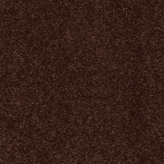 SANDY HOLLOW CLASSIC II 15' - Coffee Bean 00711 SANDY HOLLOW CLASSIC II 15' - Coffee Bean 00711