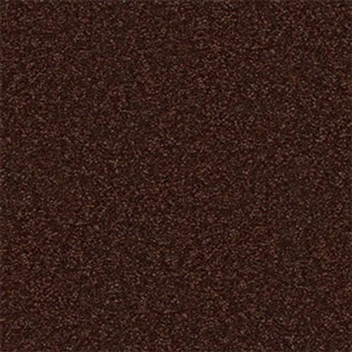 SANDY HOLLOW CLASSIC IV 12' - Coffee Bean 00711