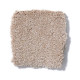 SANDY HOLLOW CLASSIC IV 15' - Stucco 00110 SANDY HOLLOW CLASSIC IV 15' - Stucco 00110