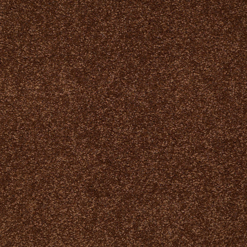 SANDY HOLLOW CLASSIC IV 15' - Tortoise Shell 00707