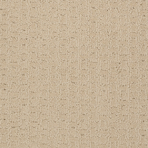 ACTIVATE - Linen 00101