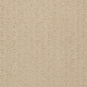 ACTIVATE - Linen 00101