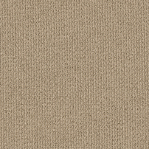 COMPLETE CONTROL - Soft Honey 00182