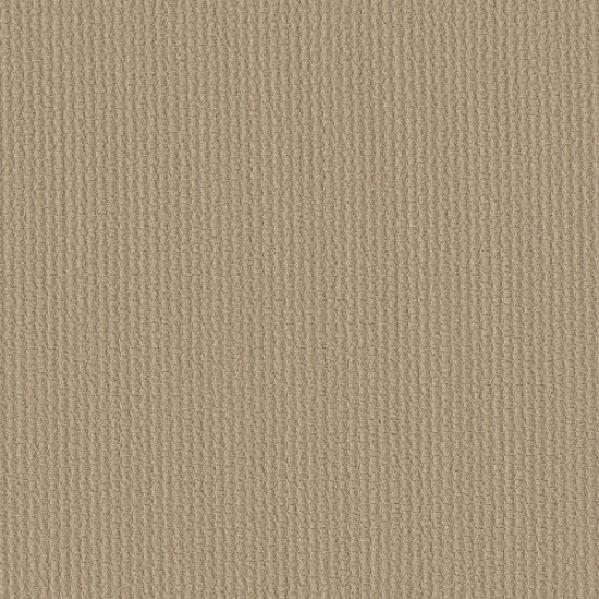 COMPLETE CONTROL - Soft Honey 00182