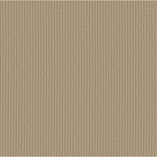 COMPLETE CONTROL - Soft Honey 00182