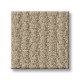 COMPLETE CONTROL - Boutique 00184 COMPLETE CONTROL - Boutique 00184