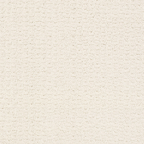 COMPLETE CONTROL - Crisp Linen 00171