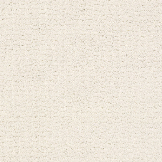 COMPLETE CONTROL - Crisp Linen 00171