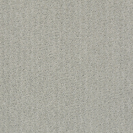 COMPLETE CONTROL - Offshore Mist 00477