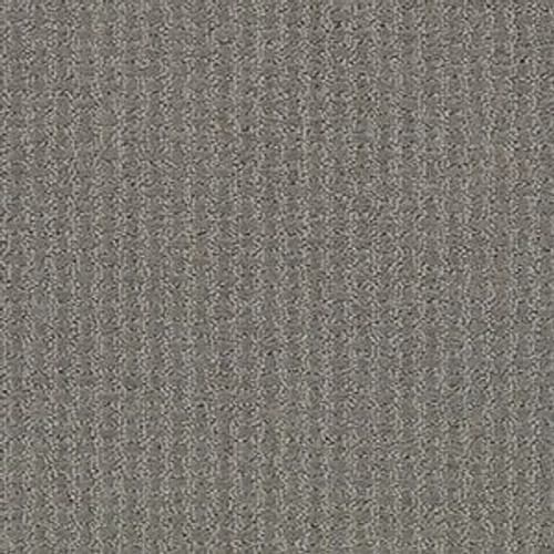 COMPLETE CONTROL - Metal 00577