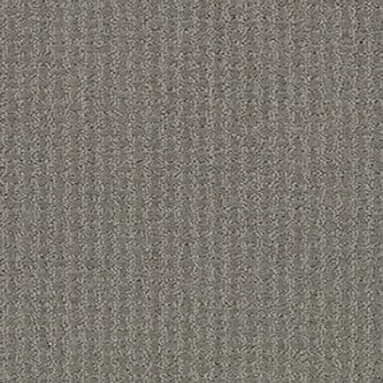 COMPLETE CONTROL - Metal 00577