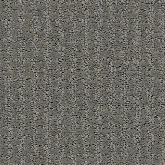 COMPLETE CONTROL - Metal 00577