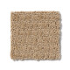 ACTIVATE - Natural Wood 00701 ACTIVATE - Natural Wood 00701