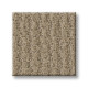 ACTIVATE - Mushroom 00703 ACTIVATE - Mushroom 00703