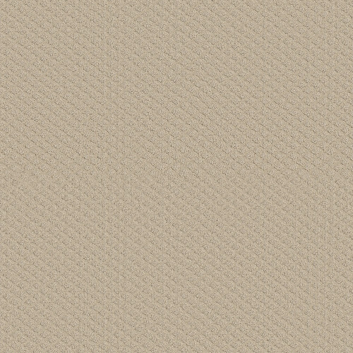 PACE SETTER - Canvas 00103