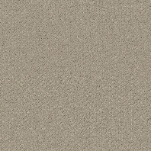 ENTWINED WITH YOU - Studio Taupe 00173