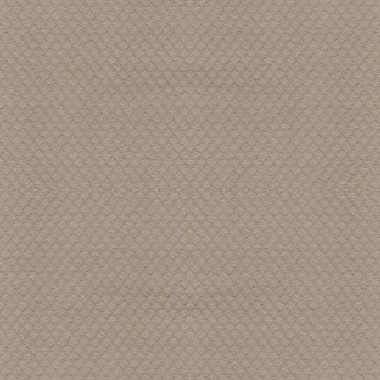 ENTWINED WITH YOU - Studio Taupe 00173