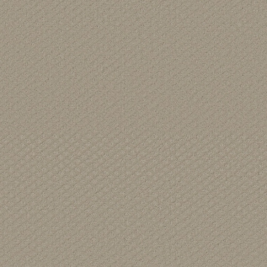 ENTWINED WITH YOU - Studio Taupe 00173