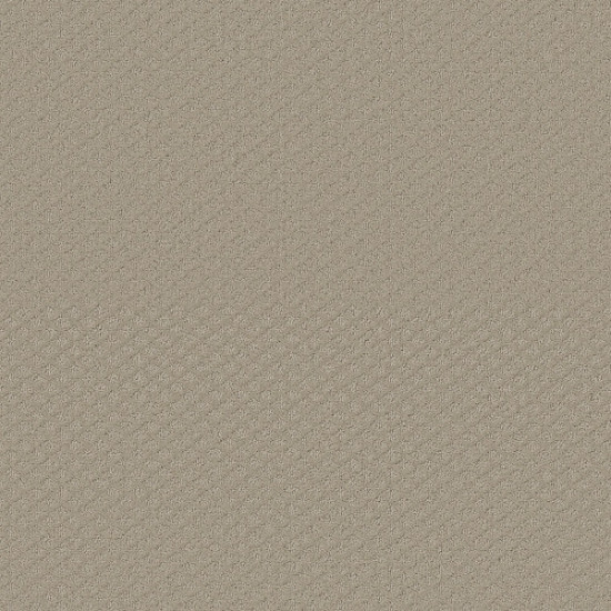 ENTWINED WITH YOU - Studio Taupe 00173