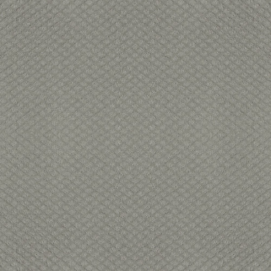 ENTWINED WITH YOU - Offshore Mist 00477