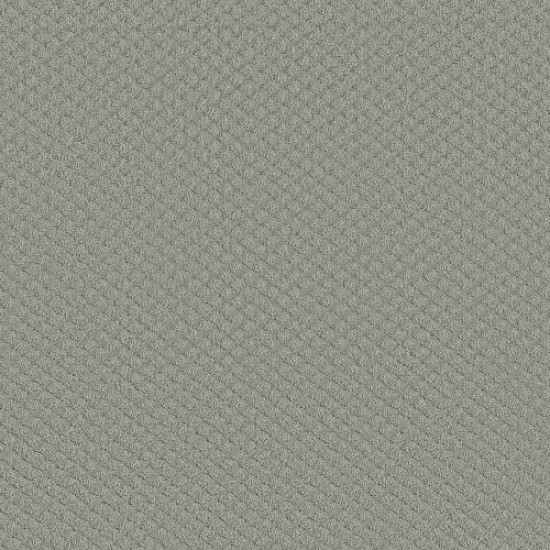 ENTWINED WITH YOU - Offshore Mist 00477