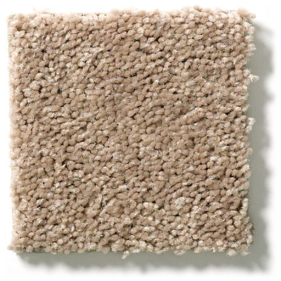 FULL COURT 12' - Tassel 00107 FULL COURT 12' - Tassel 00107