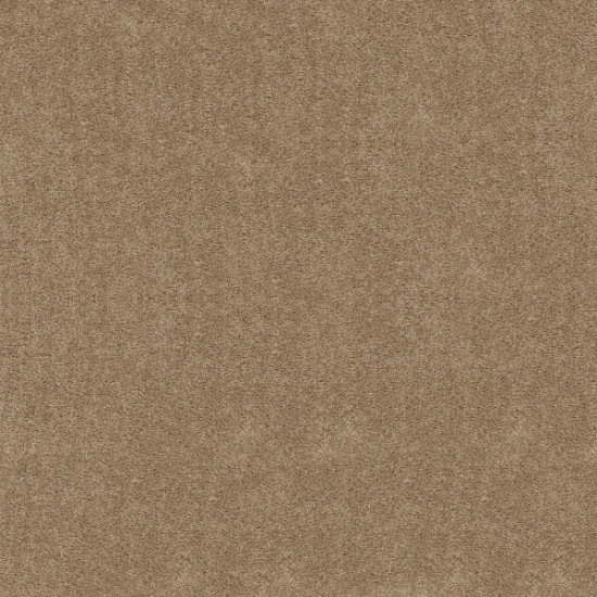 FULL COURT 12' - Tassel 00107 FULL COURT 12' - Tassel 00107