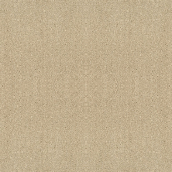 ALL STAR WEEKEND II 12' - Butter Cream 00200