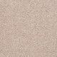 ALL STAR WEEKEND II 12' - Butter Cream 00200